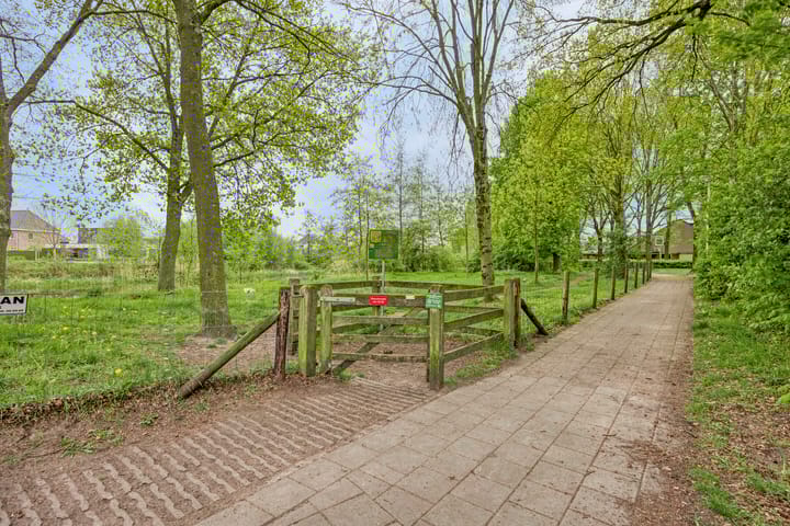 Foto 38 van Loowaard 24