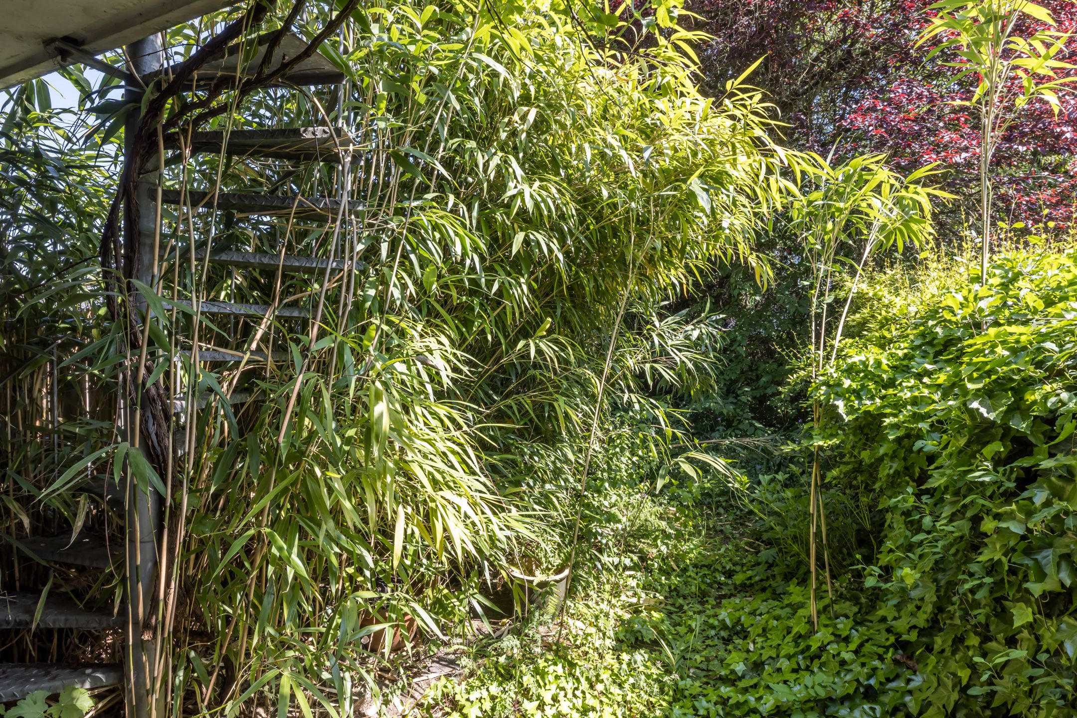 Foto 21 van De Wingerd 47