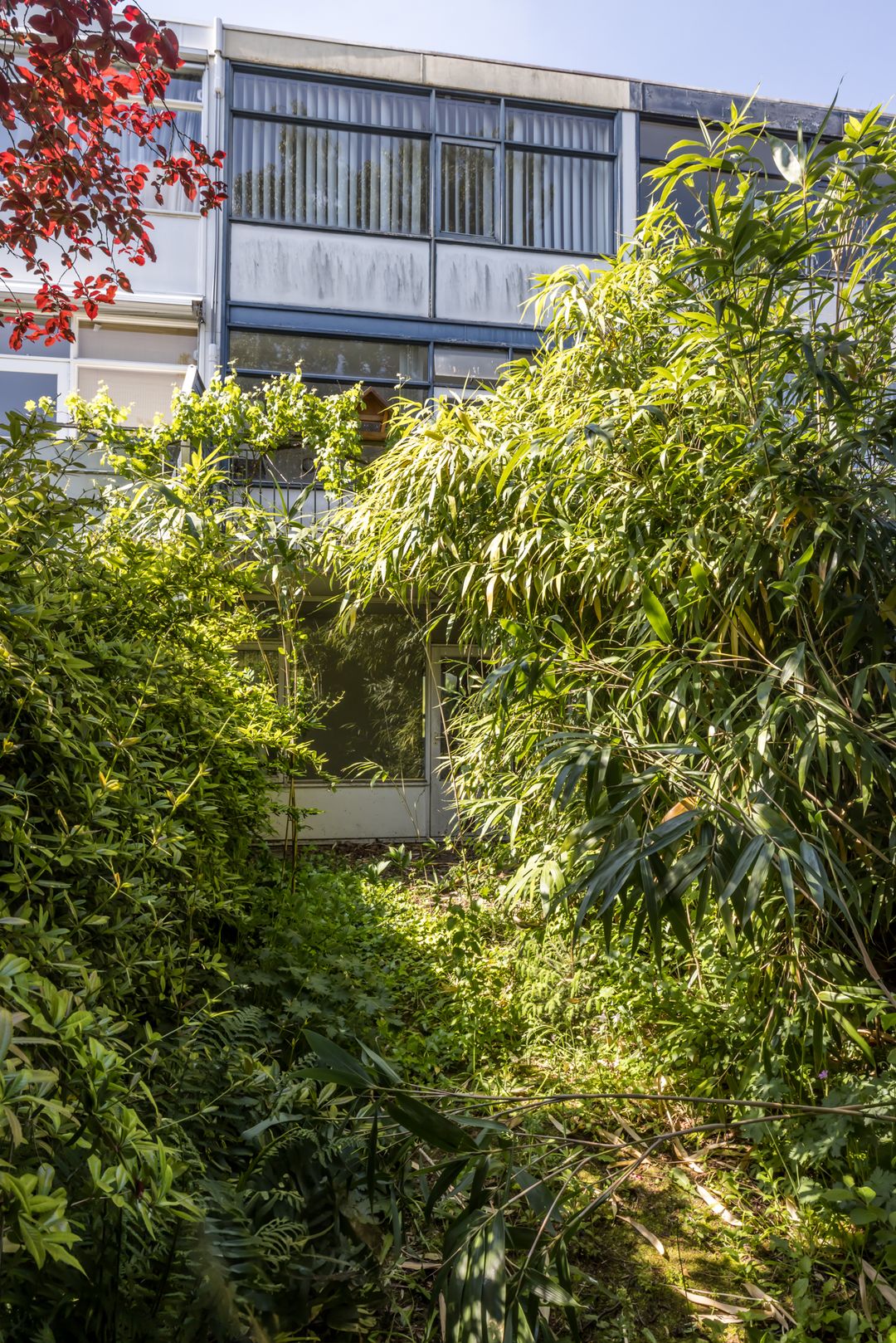 Foto 23 van De Wingerd 47