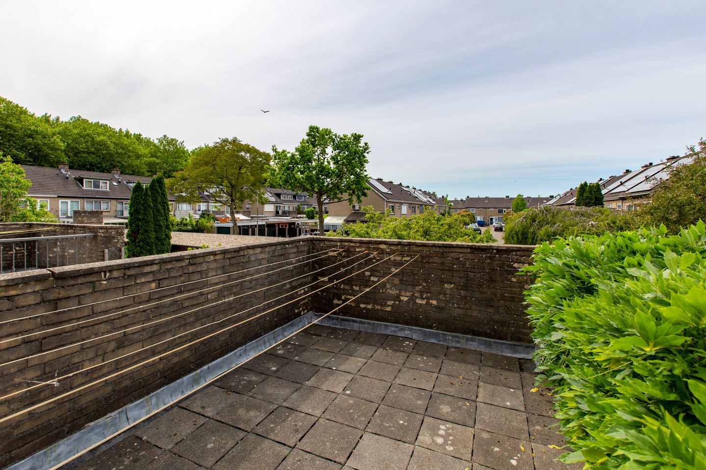 Foto 35 van Junostraat 15