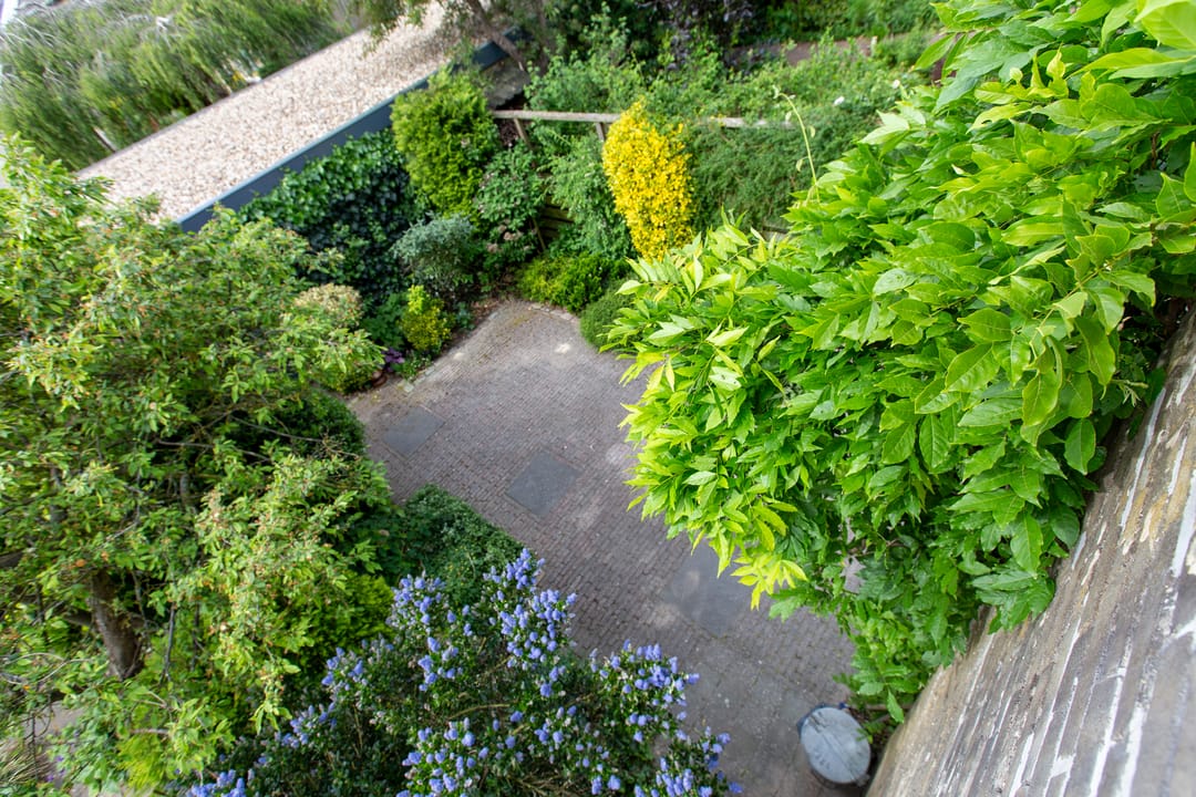 Foto 37 van Junostraat 15