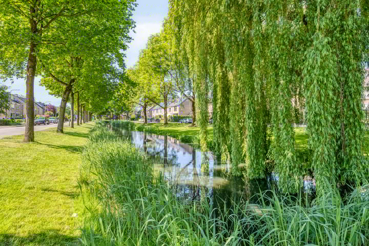 Foto 37 van Singel 71