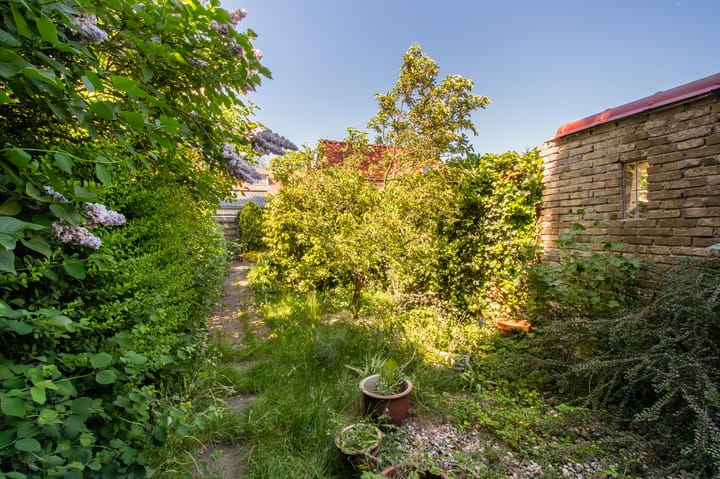 Foto 16 van Wegastraat 21