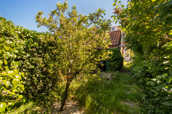 Foto 18 van Wegastraat 21