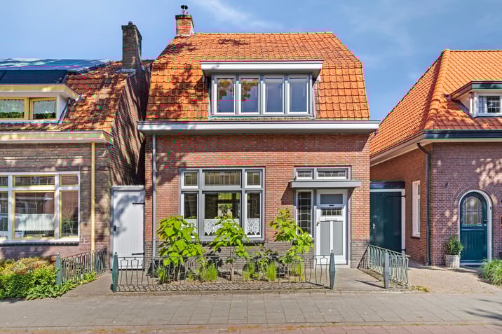 undefined main image
