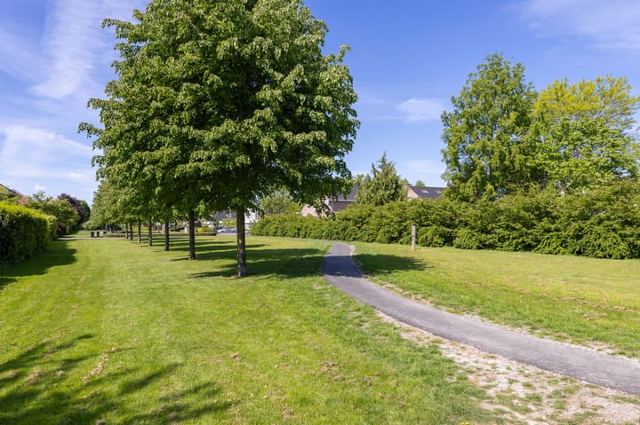 Foto 64 van Herfst 93