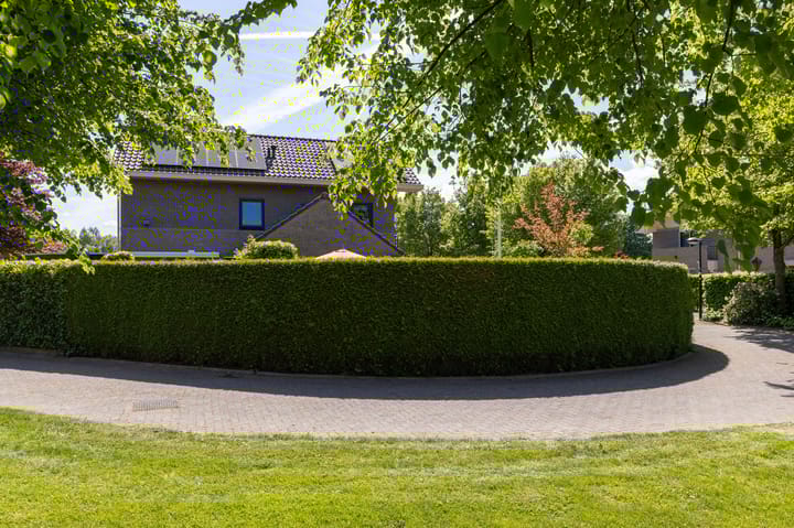 Foto 65 van Herfst 93