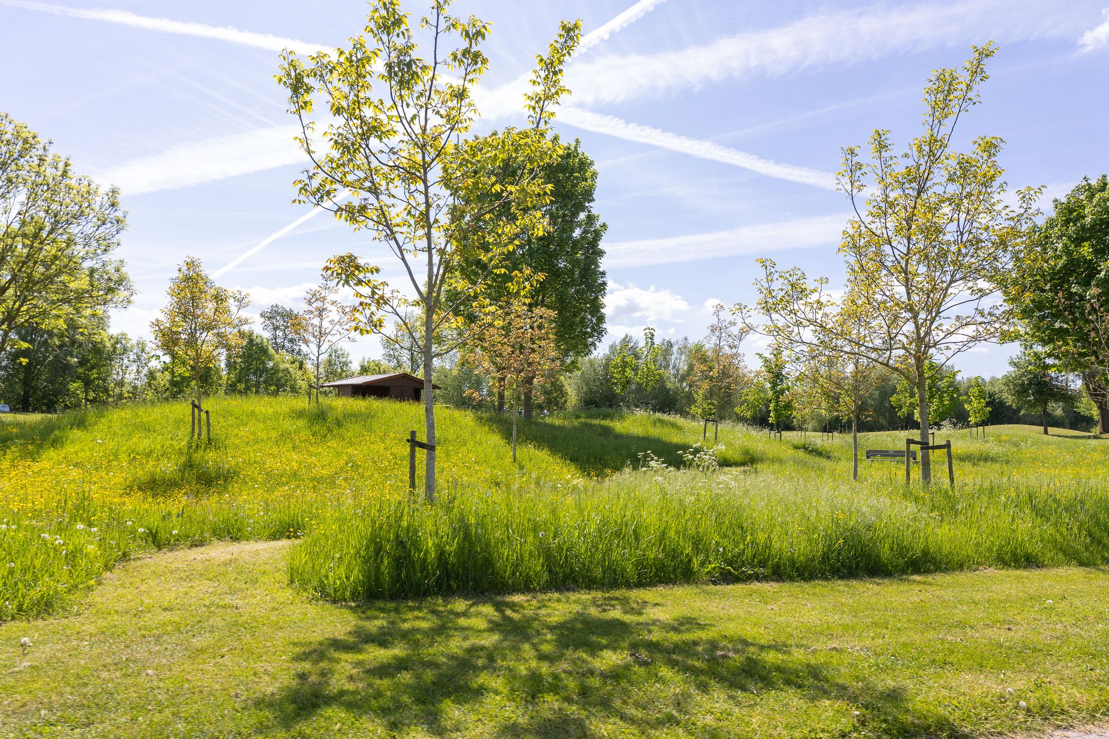 Foto 66 van Herfst 93