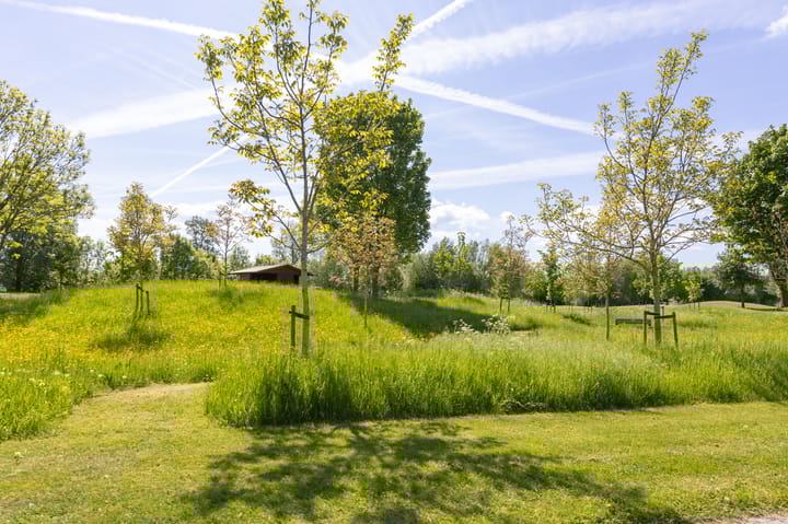 Foto 66 van Herfst 93