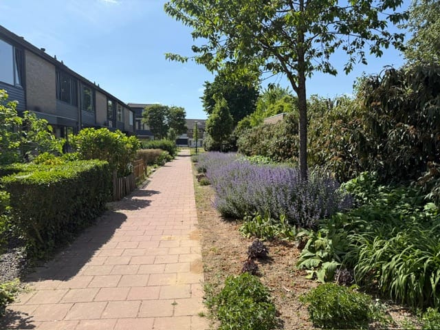 Foto 20 van Hazeleger 15