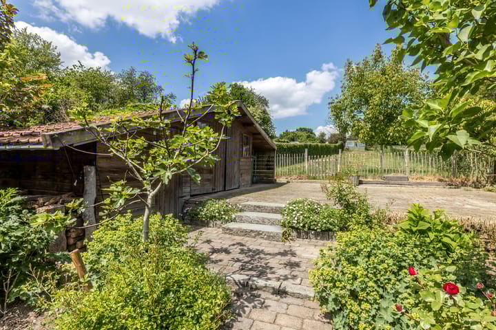 Foto 50 van Nierhoven 20