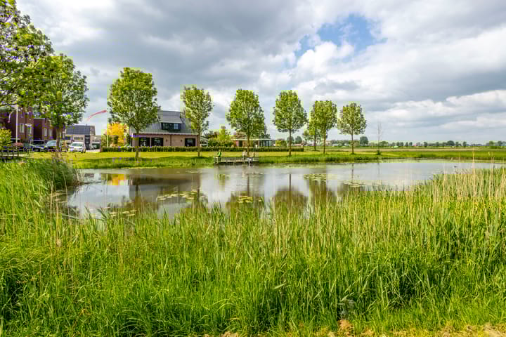 Photo 62 of Rijshaak 1