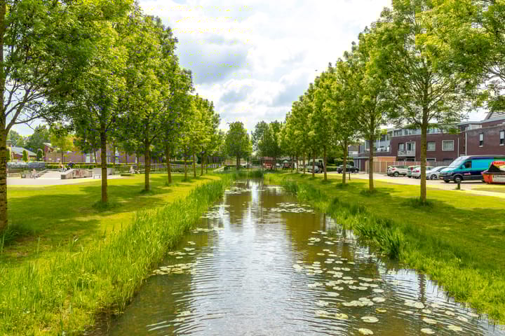 Photo 63 of Rijshaak 1