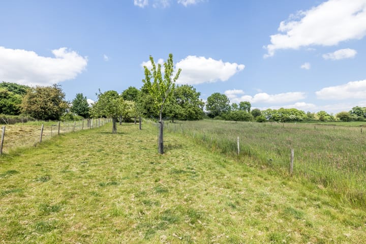 Foto 55 van Nierhoven 20