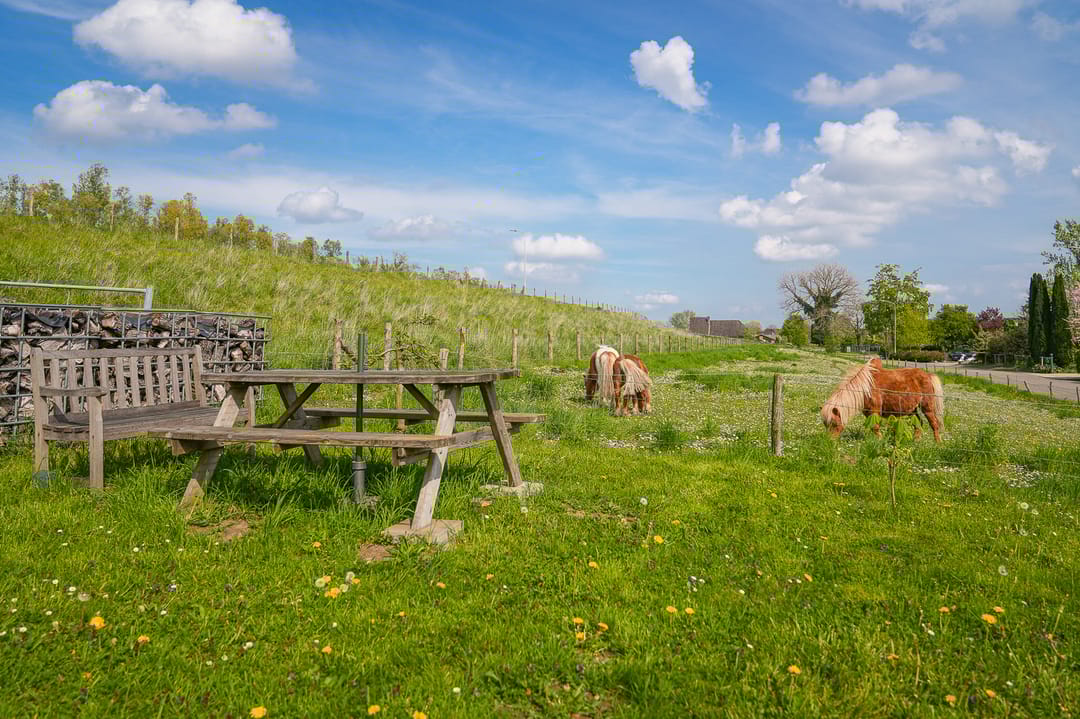 Foto 7 van Waalbandijk 53