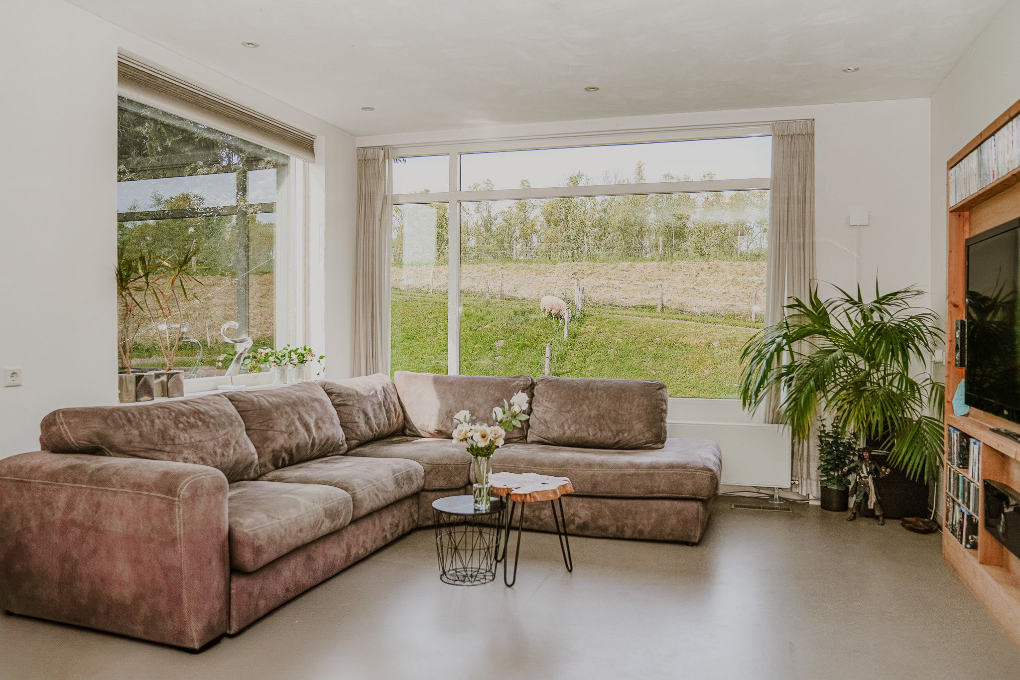 Foto 9 van Waalbandijk 53