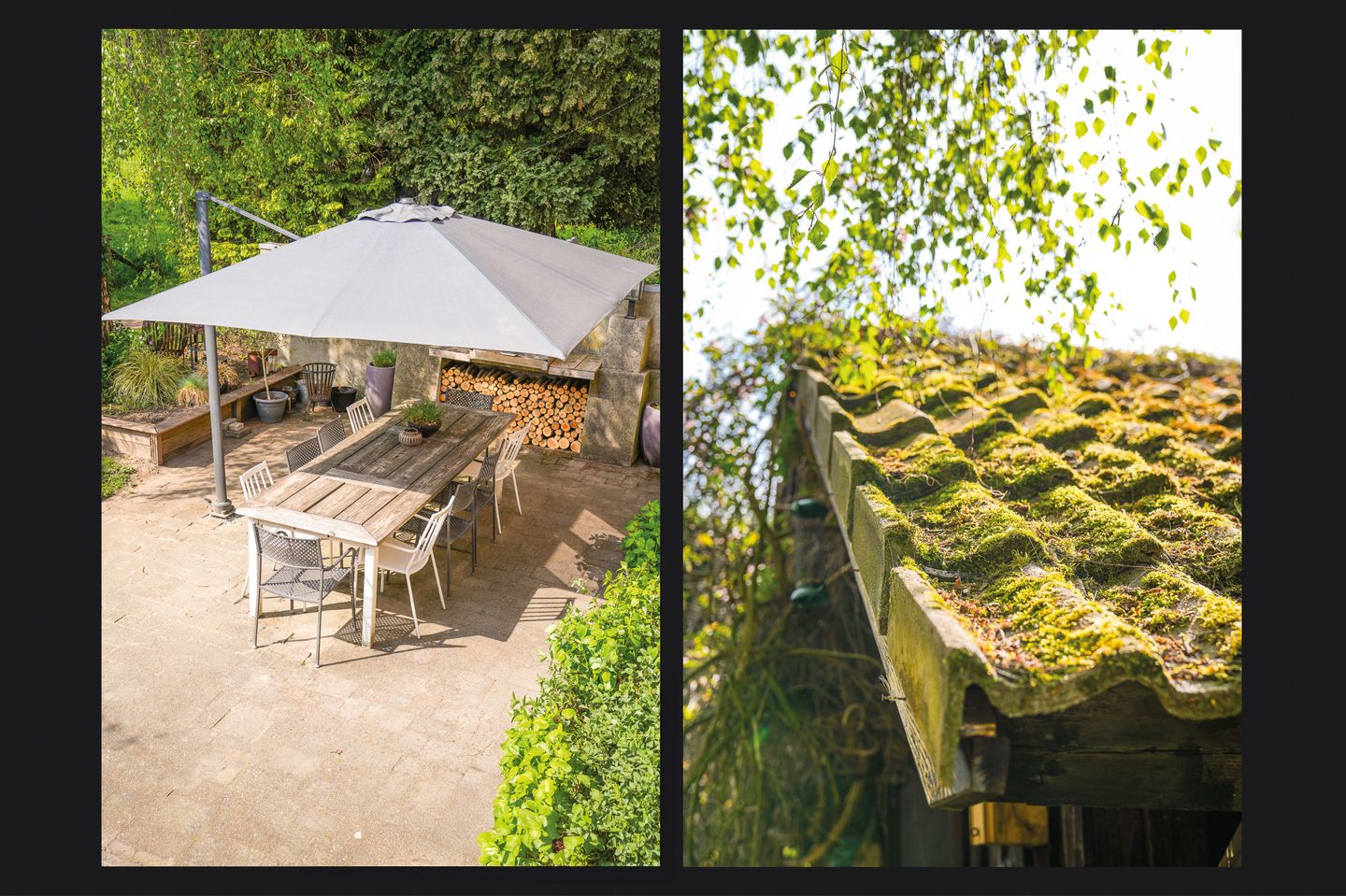 Foto 49 van Waalbandijk 53