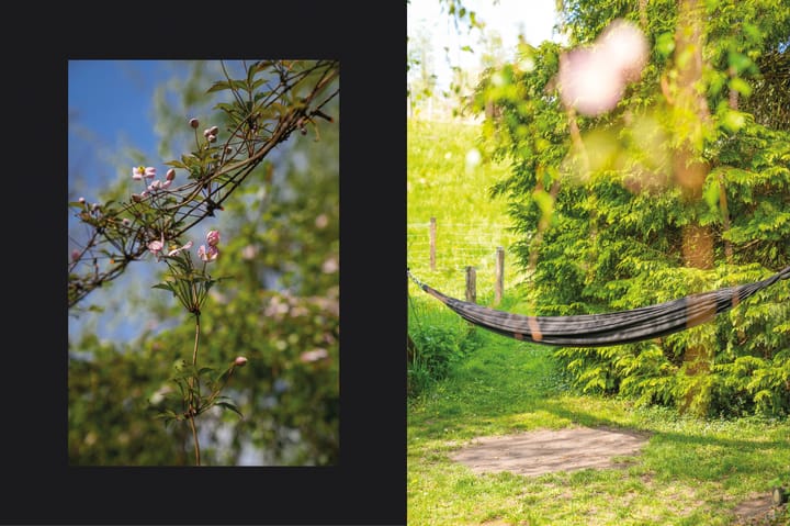 Foto 56 van Waalbandijk 53