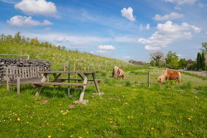 Foto 57 van Waalbandijk 53