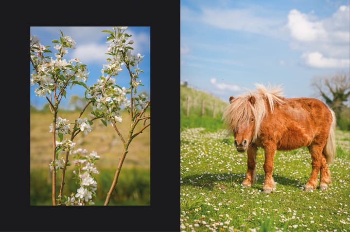 Foto 59 van Waalbandijk 53