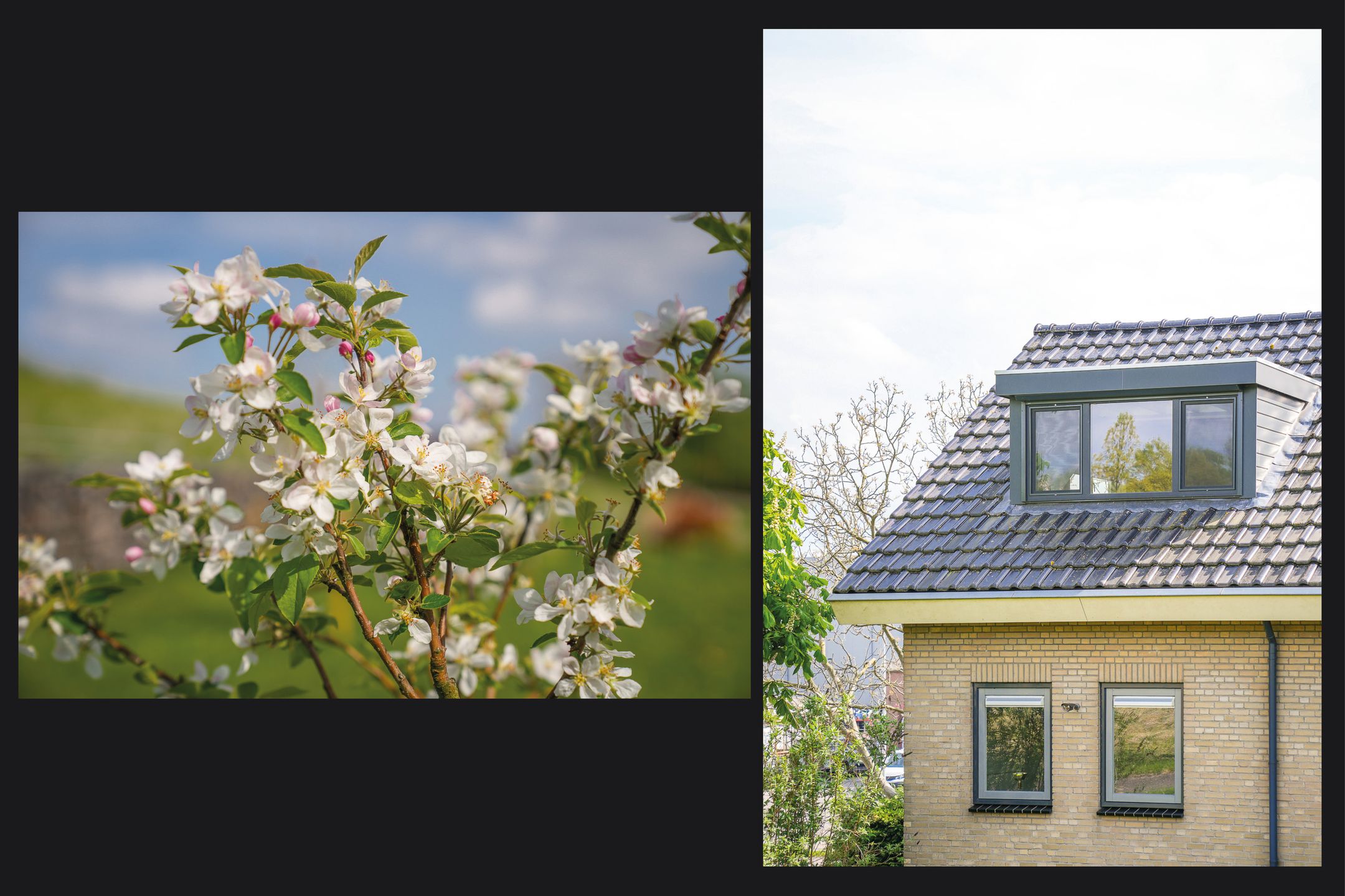 Foto 63 van Waalbandijk 53