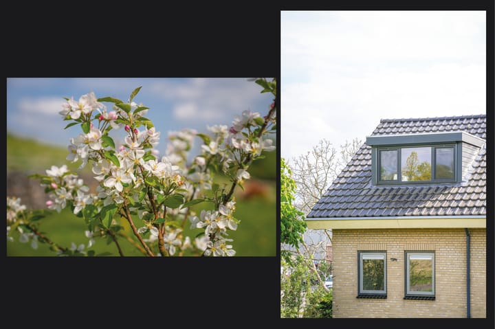 Foto 63 van Waalbandijk 53