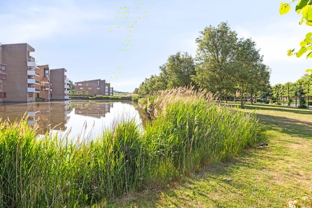 Foto 2 van Dokter Herskade 40