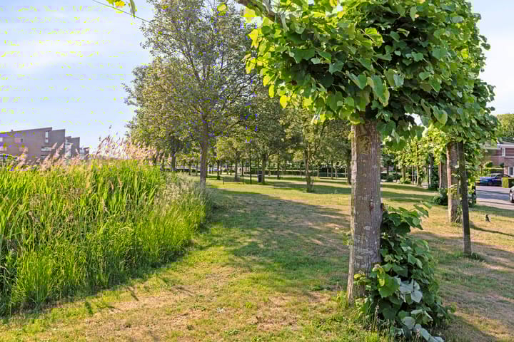 Foto 7 van Dokter Herskade 40