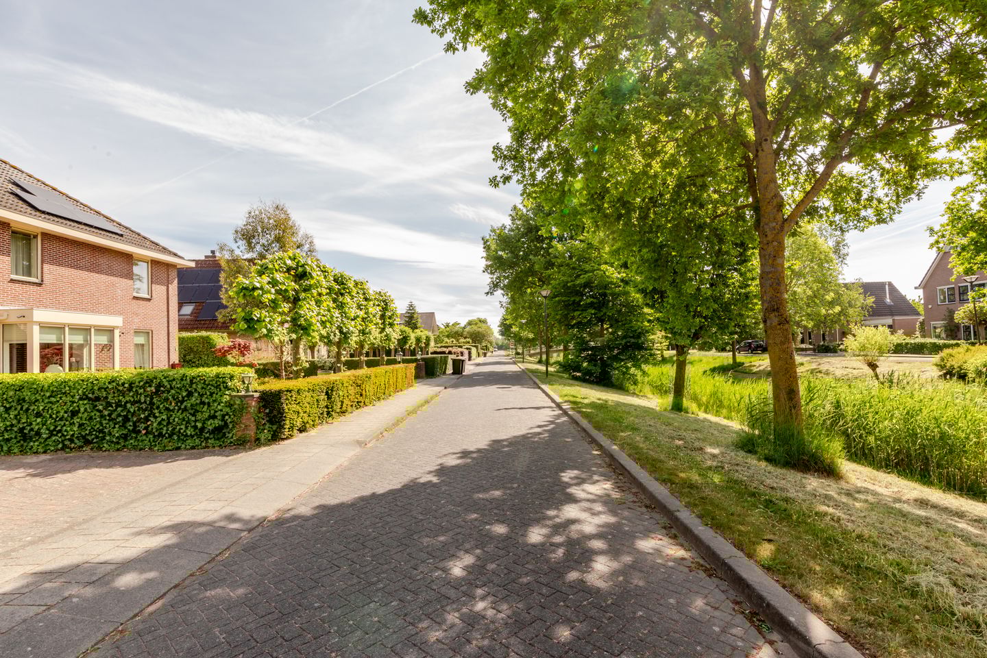 Photo 49 of Fogelsanghstate 19