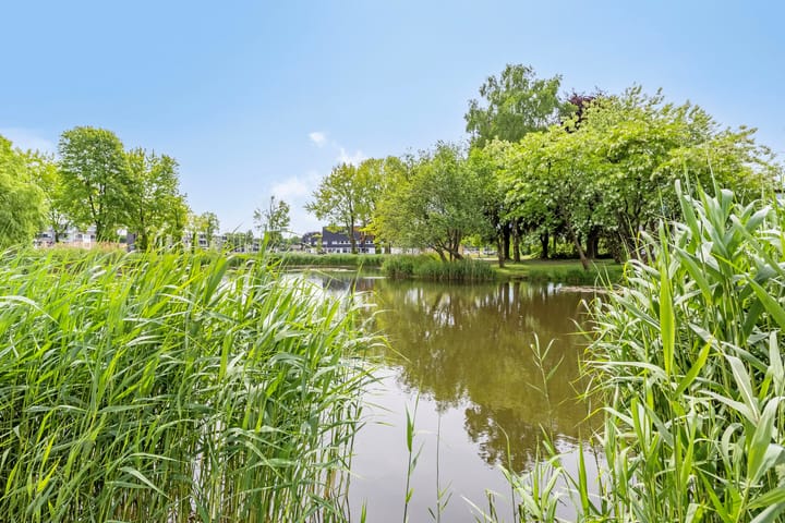 Foto 28 van Hertogenlaan 350