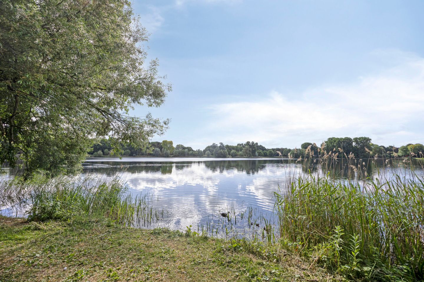 Foto 34 van Aartshertogenlaan 183