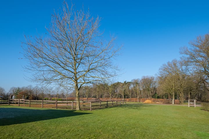 Foto 17 van Huttenweg 14