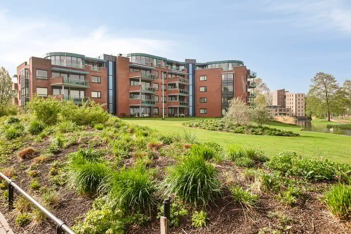 Plantage 62 main image