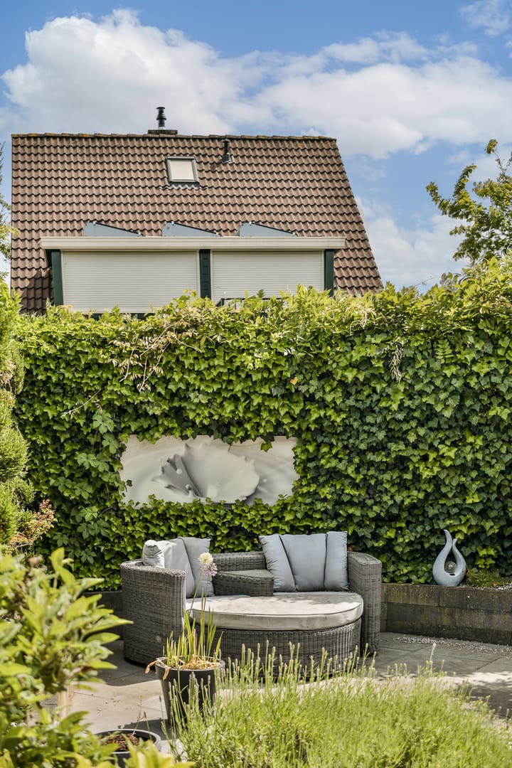 Foto 39 van Dillenburgstraat 1-A