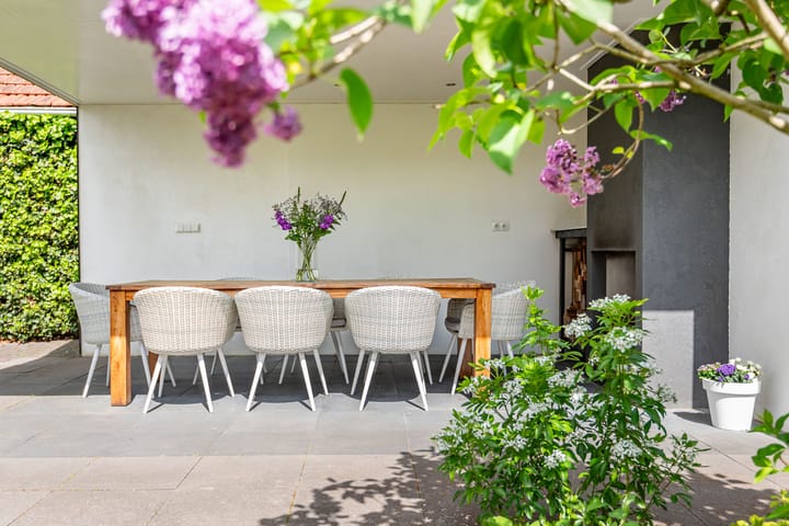 Foto 55 van Palmlaan 16