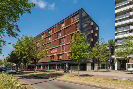 undefined main image