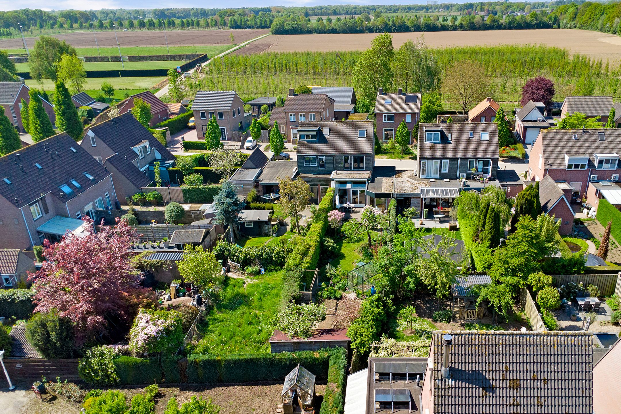 Foto 6 van Liesmortel 13-C