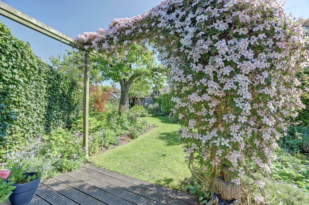 Foto 47 van Liesmortel 13-C