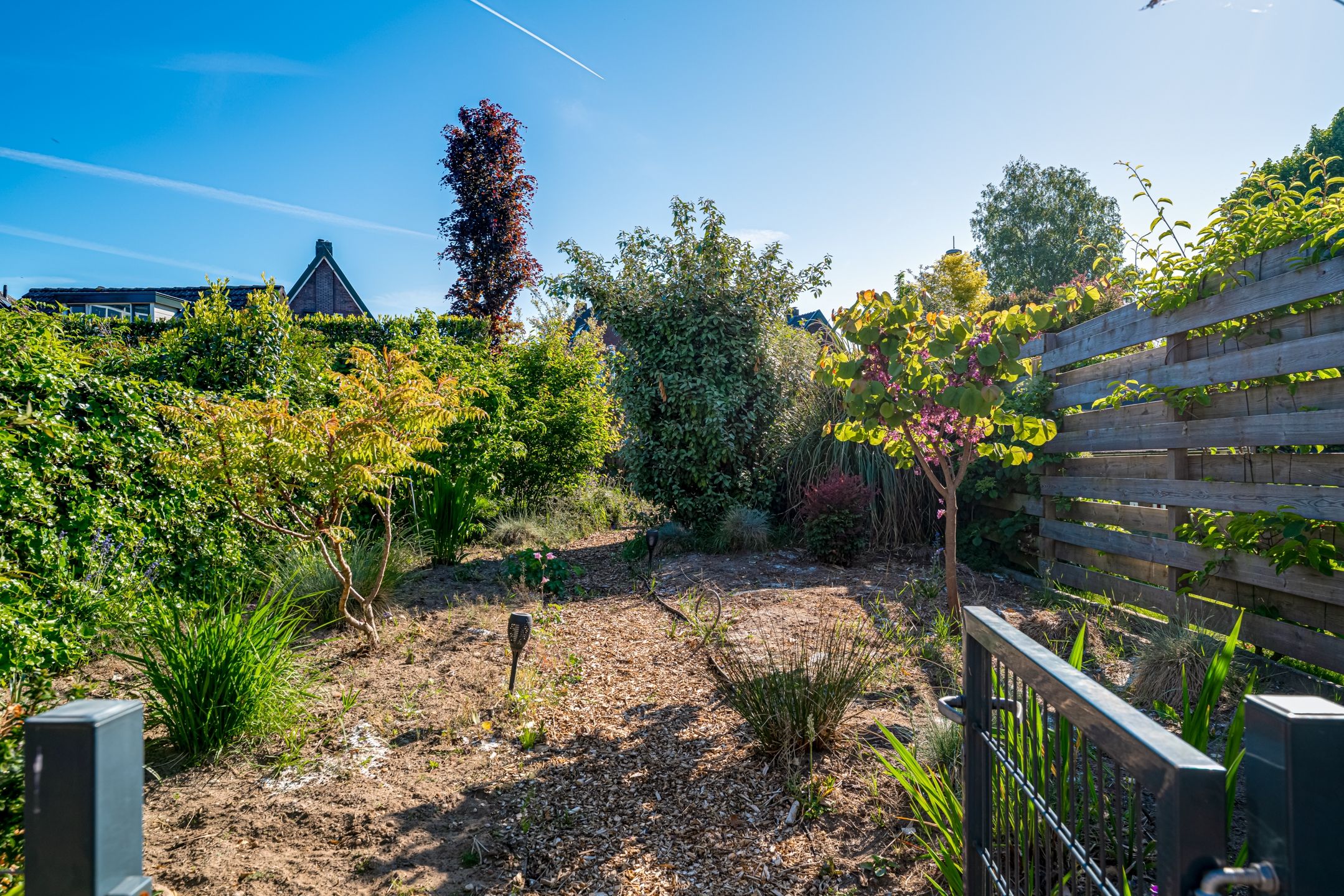 Foto 21 van Mauritiusstraat 35