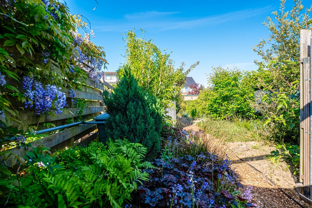 Foto 26 van Mauritiusstraat 35