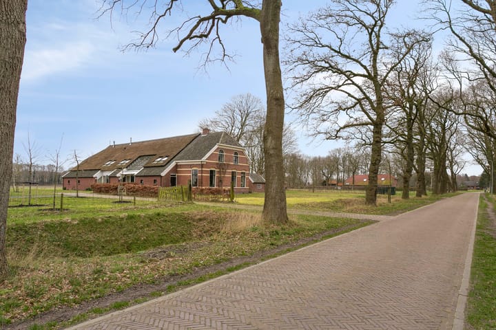 Tolhuisweg 49
