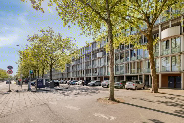Het Laagt 119