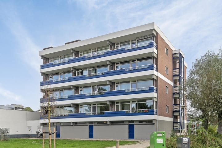 Foto 1 van Penningkruid 21