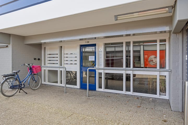 Foto 2 van Penningkruid 21