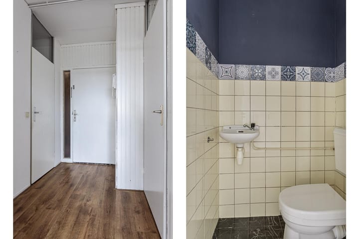 Foto 6 van Penningkruid 21