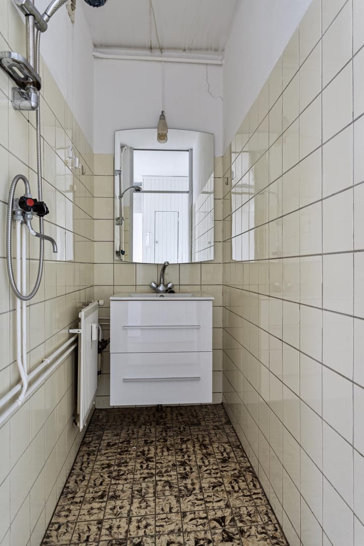 Foto 7 van Penningkruid 21