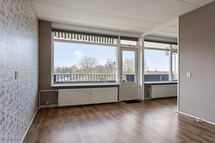 Foto 10 van Penningkruid 21