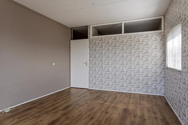 Foto 11 van Penningkruid 21