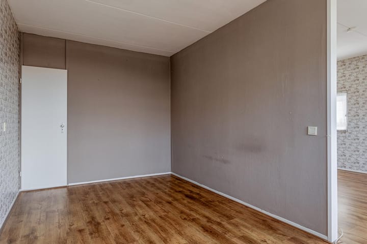 Foto 12 van Penningkruid 21