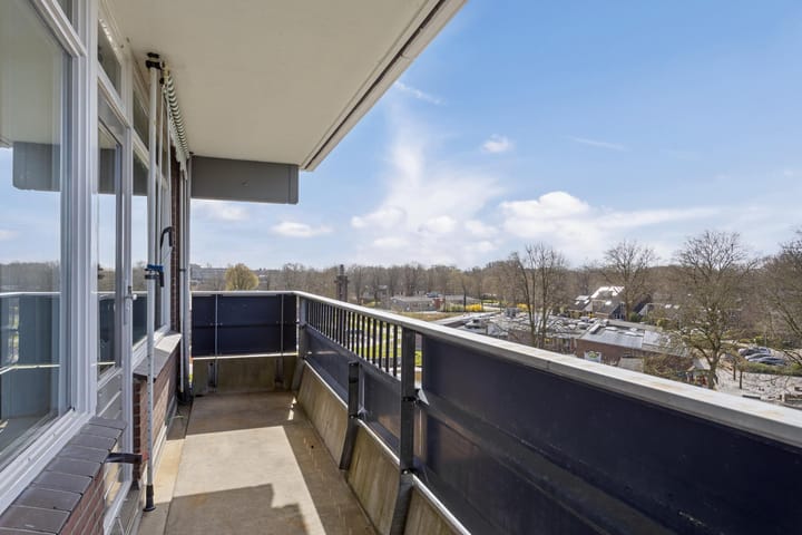 Foto 14 van Penningkruid 21